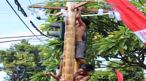 Panjat Pinang Hari Merdeka di Denpasar Timur