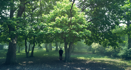 Langkah Mudah untuk Mengurangi Penggunaan Plastik