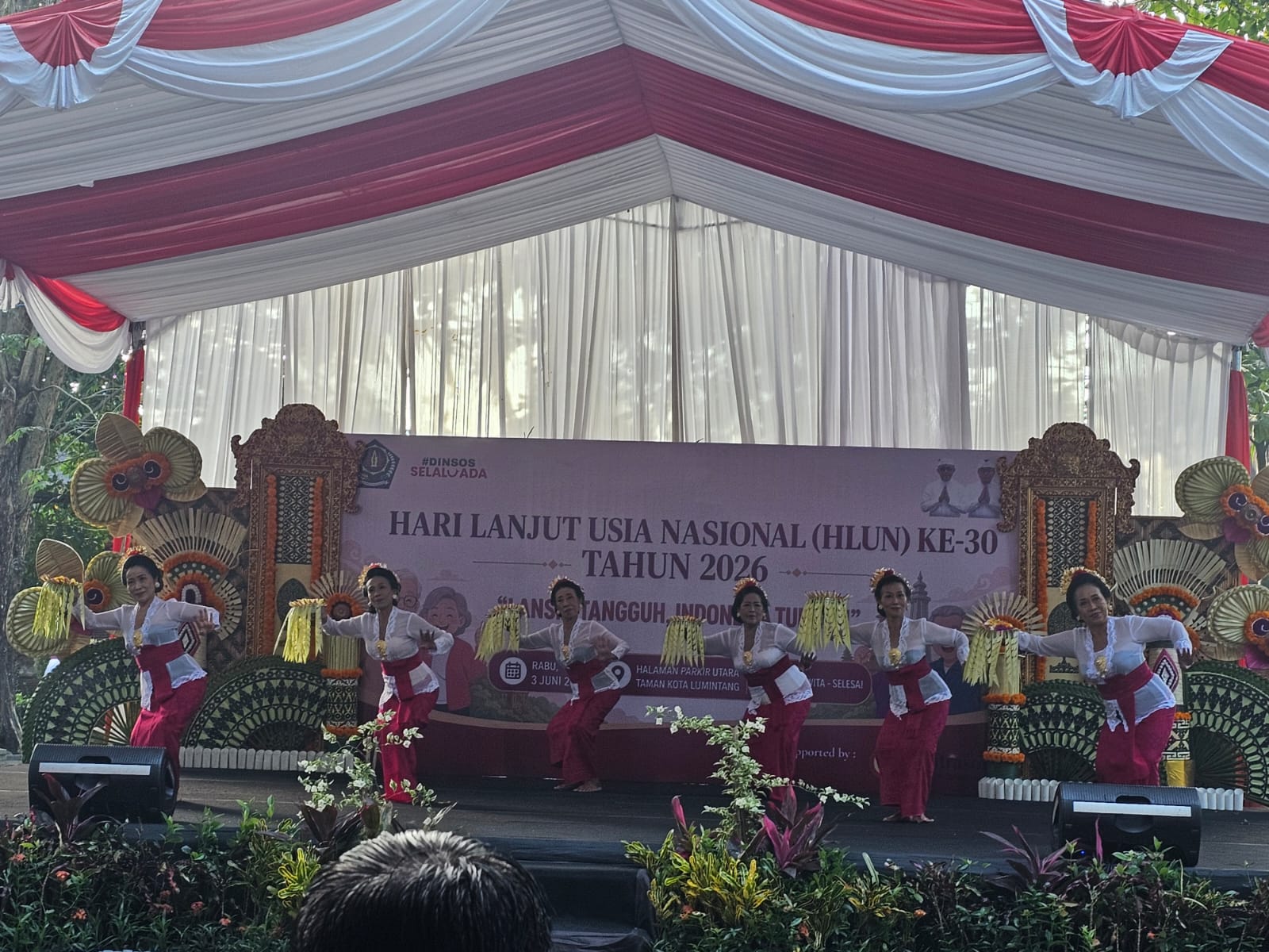 Hari Lanjut Usia Nasional (HLUN)